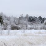 До -6°С похолодает в Рязанской области в воскресенье