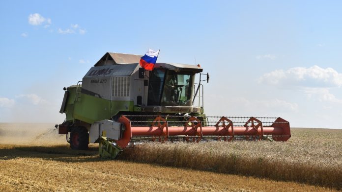 v-sasovskom-okruge-uborochnaya-kampaniya-v-samom-razgare