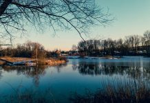 17 ноября в Рязанской области потеплеет