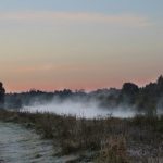 Туман и гололедицу обещают синоптики рязанцам в понедельник