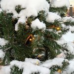 6 января в Рязанской области температура воздуха опустится до 15°С