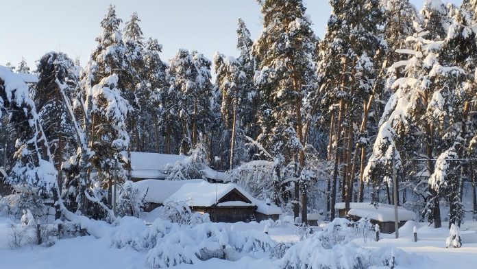 Зима снег. Окский зап. 3.02.26