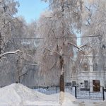 8 февраля в Рязанской области температура воздуха понизится до -15°С