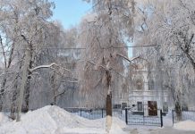 8 февраля в Рязанской области температура воздуха понизится до -15°С