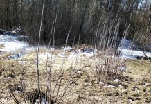 В Спасском округе оштрафовали собственника заброшенной земли на 50 тысяч рублей