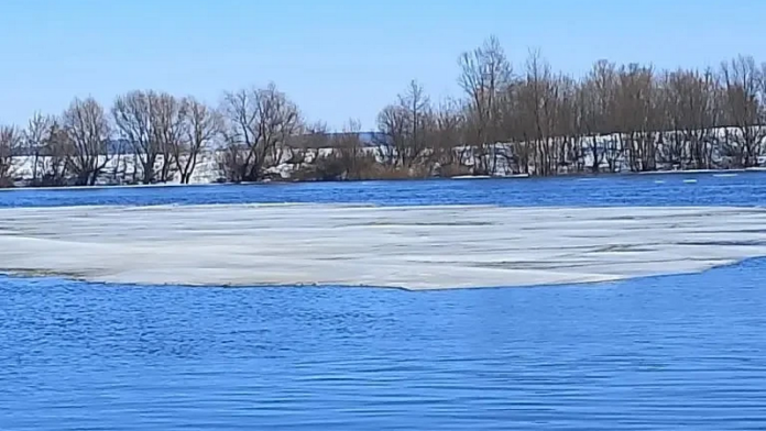 Ледоход.канал Макс.23.03.26