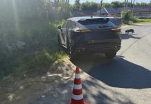 В Спасском округе Omoda сбила ребенка