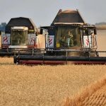 В Рязанской области собрали 67 тысяч тонн зерна