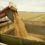Два миллиона тонн зерна собрали рязанские аграрии